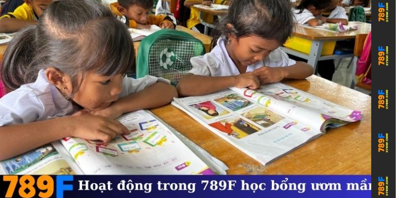 Các hoạt động cụ thể trong 789F học bổng ươm mầm